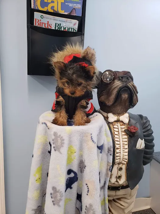 Point Marion Veterinary Care 1