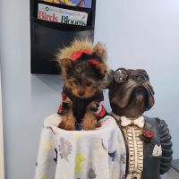 Point Marion Veterinary Care ico
