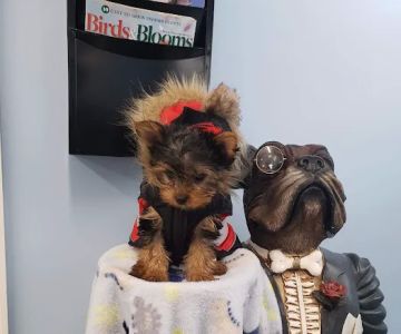 Point Marion Veterinary Care