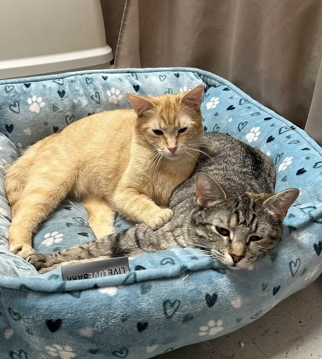 Hillcrest Veterinary Clinic 10