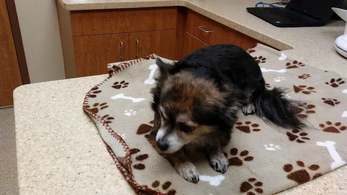 Hillcrest Veterinary Clinic 3