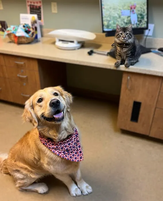 Hillcrest Veterinary Clinic 9