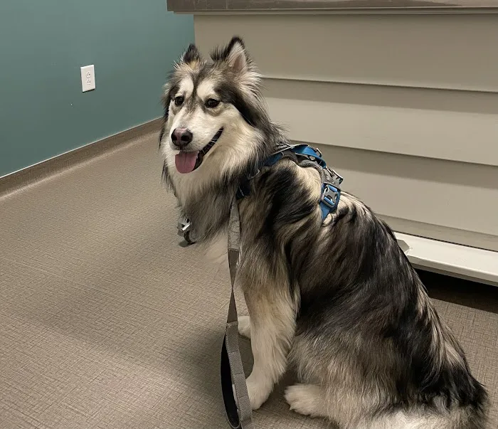 Paw Prints Veterinary Clinic 7