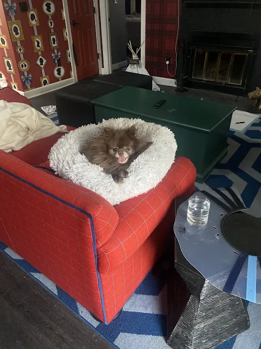 Wooflands Veterinary Center 3