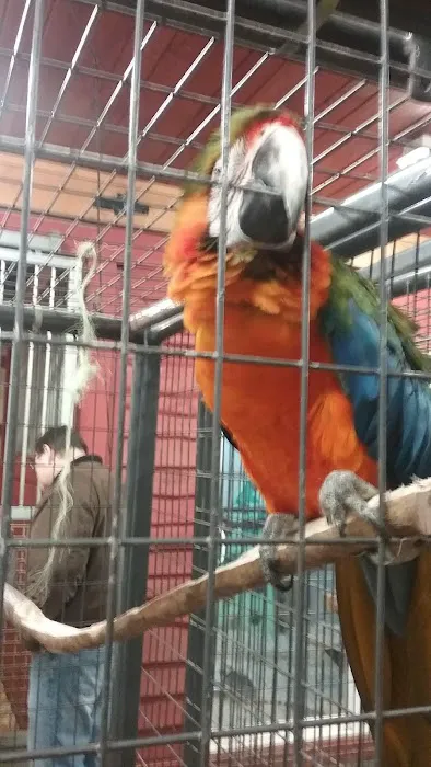 Wooflands Veterinary Center 1