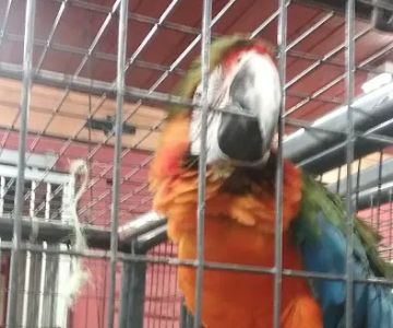 Wooflands Veterinary Center