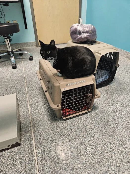 Wooflands Veterinary Center 5