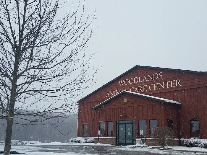 Wooflands Veterinary Center 10