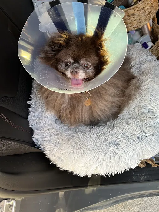 Wooflands Veterinary Center 4