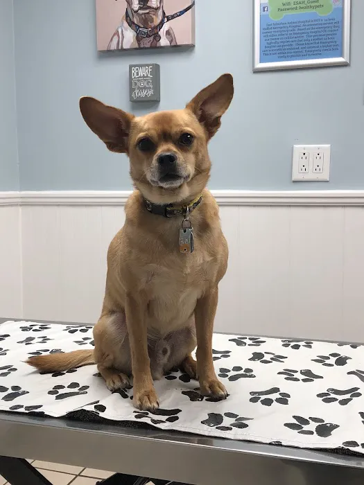 East Suburban Animal Hospital 7