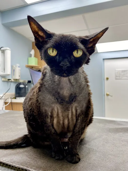 East Suburban Animal Hospital 3