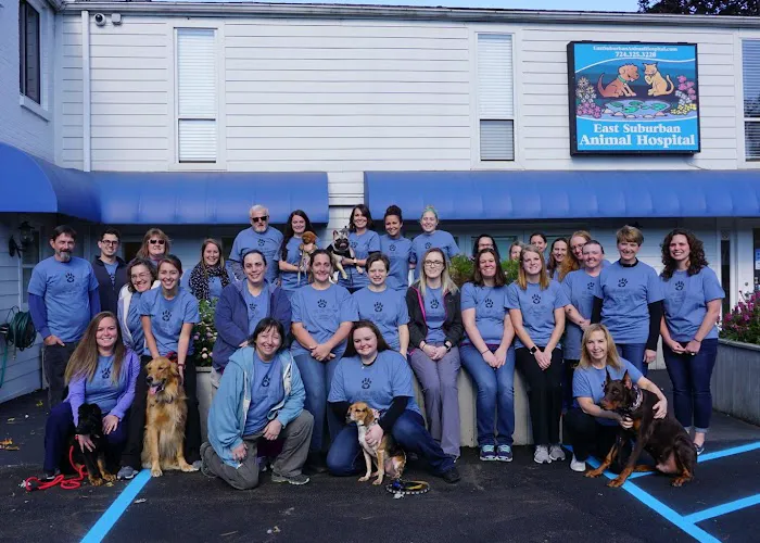 East Suburban Animal Hospital 6
