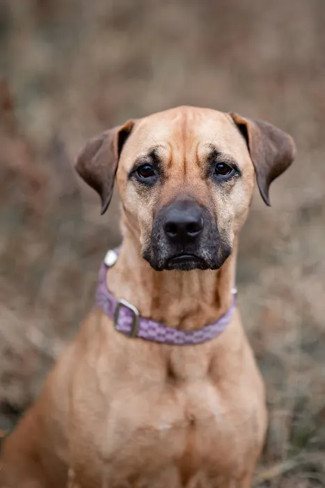 East Suburban Animal Hospital 2
