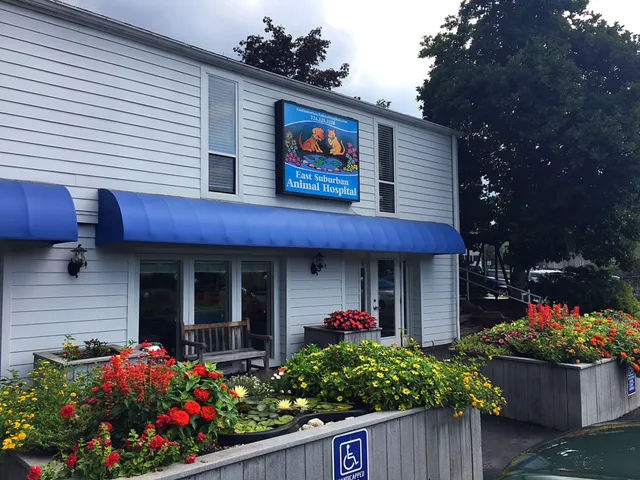 East Suburban Animal Hospital 4