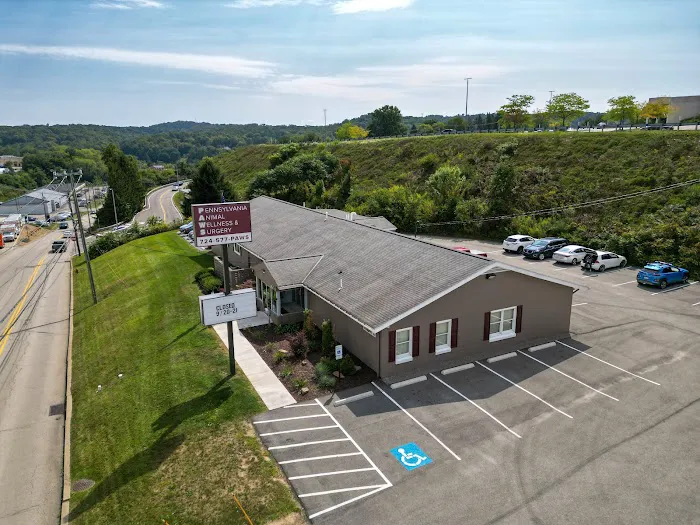 Pennsylvania Animal Wellness and Surgery 9