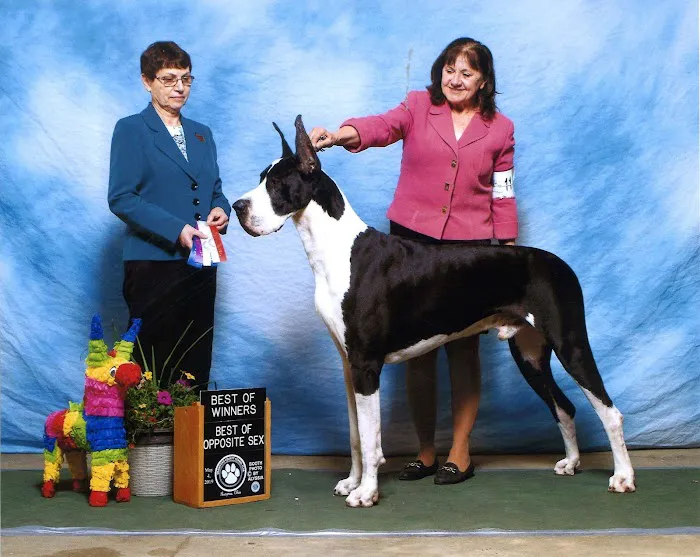 Pennsylvania Animal Wellness and Surgery 3
