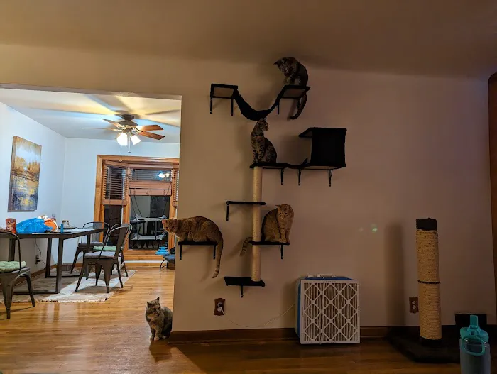 Pennsylvania Animal Wellness and Surgery 7