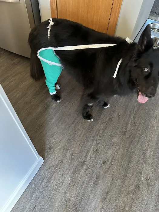 Pennsylvania Animal Wellness and Surgery 6