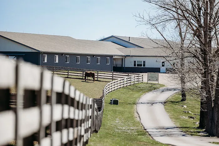 Allegheny Equine Associates 1