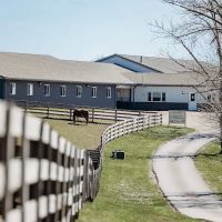 Allegheny Equine Associates ico