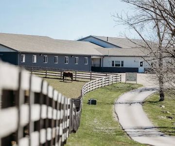 Allegheny Equine Associates