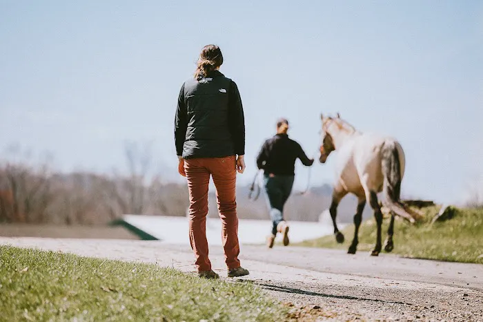 Allegheny Equine Associates 2