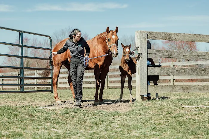Allegheny Equine Associates 9