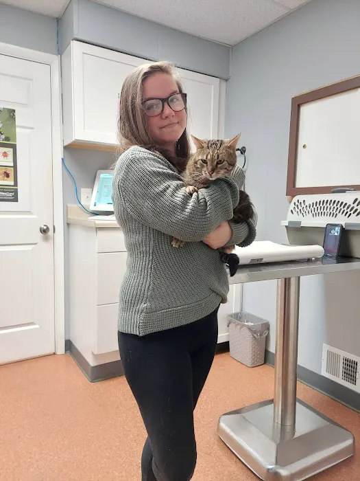 Latrobe Animal Clinic 1
