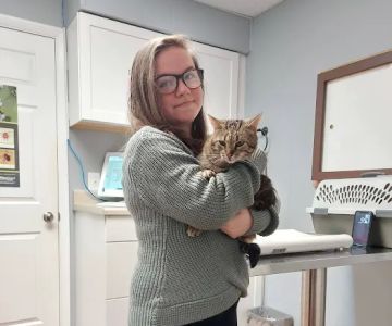 Latrobe Animal Clinic