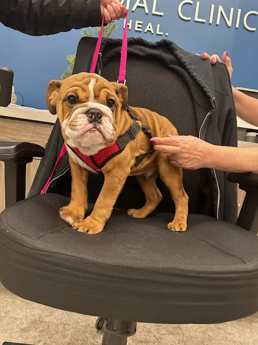 Latrobe Animal Clinic 10