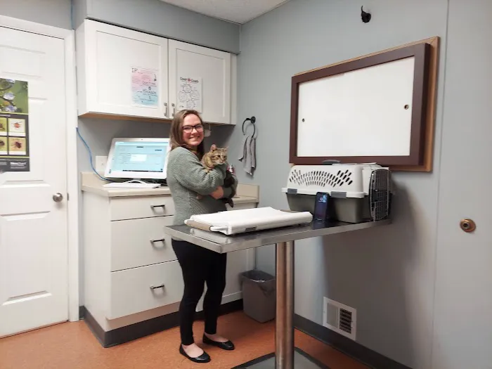 Latrobe Animal Clinic 2