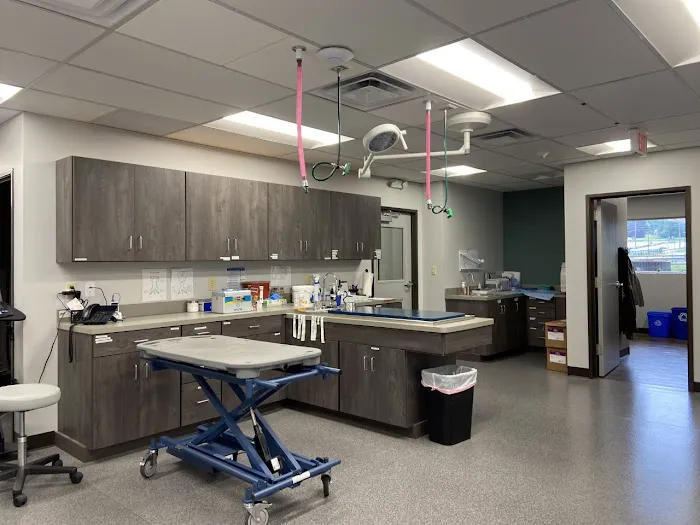 Mountain View Veterinary Care 9