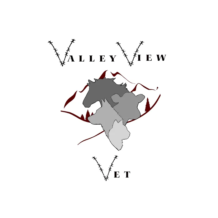 Valley View Vet Dr Chelsee Beal 5