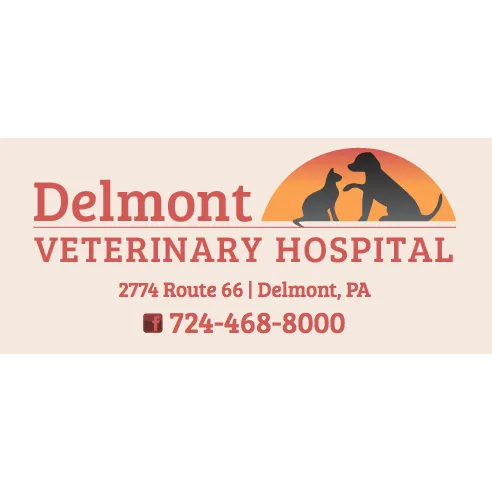 Delmont Veterinary Hospital 9