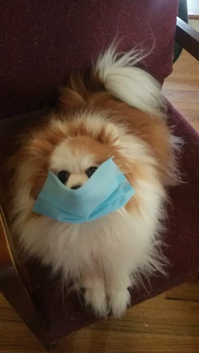 Delmont Veterinary Hospital 2