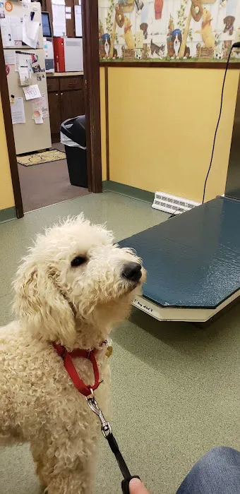 Delmont Veterinary Hospital 1