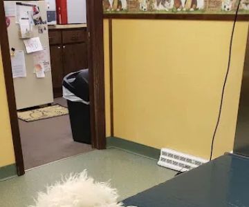 Delmont Veterinary Hospital