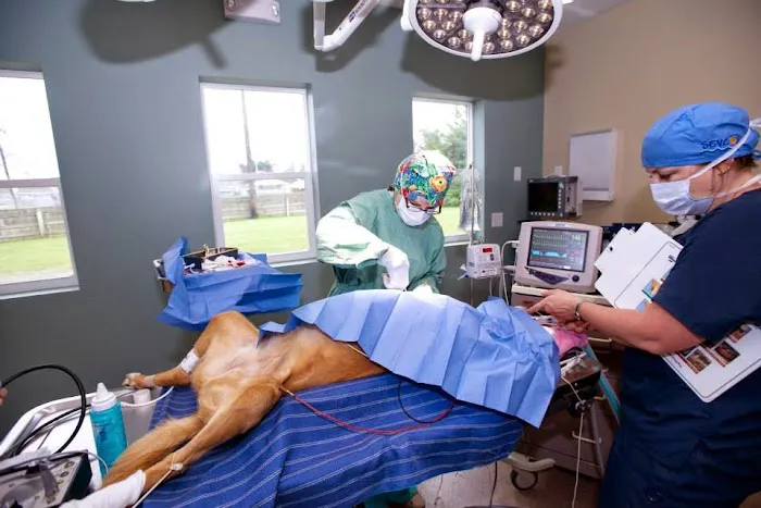 Eden Veterinary Clinic, PLLC 5