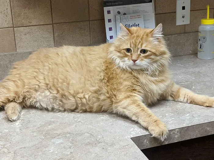 Eden Veterinary Clinic, PLLC 6