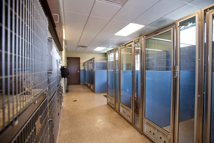 Eden Veterinary Clinic, PLLC 10