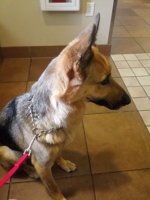 Eden Veterinary Clinic, PLLC 3