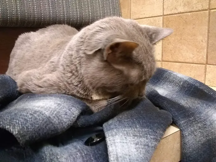 Eden Veterinary Clinic, PLLC 8