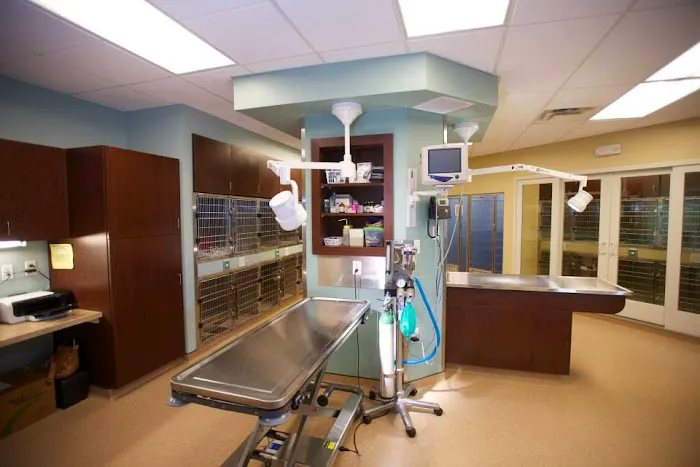 Eden Veterinary Clinic, PLLC 7