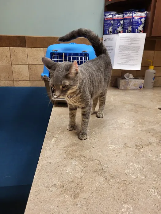 Eden Veterinary Clinic, PLLC 4