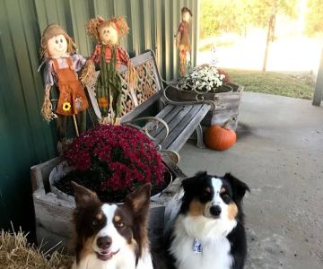 Bynum Veterinary Clinic