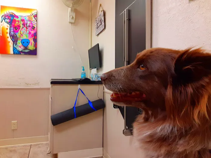 Advanced Care Veterinary Hospital 1
