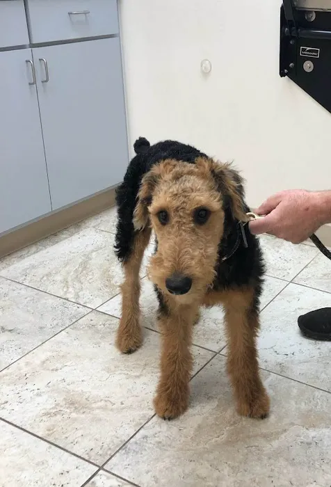 Advanced Care Veterinary Hospital 6