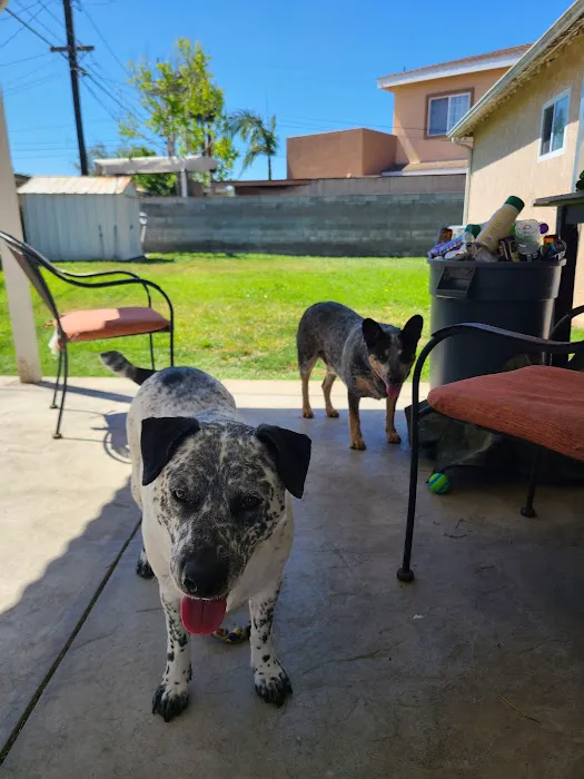 Cottage Animal Hospital 9