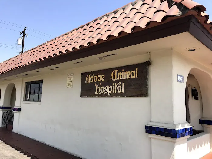 Adobe Animal Hospital 6