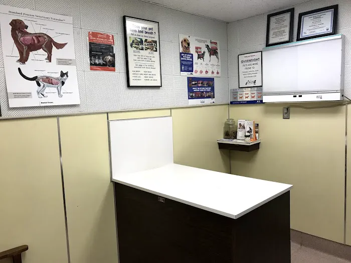 Adobe Animal Hospital 7